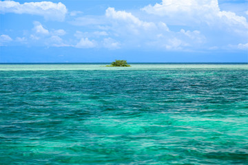 Tropical reef and small island