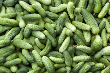 cucumbers