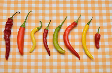 Respect all differences