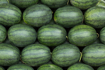 A lot of watermelon, Pattern.