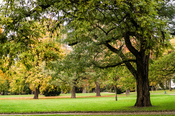 Herbst