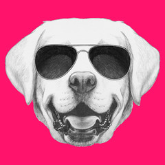 Portrait of Labrador with sunglasses. Hand drawn illustration. 