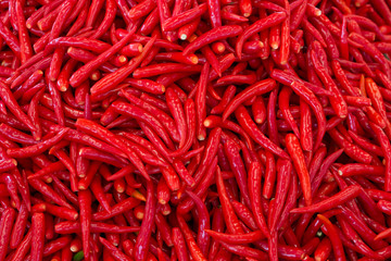 A lot of paprika, Pattern.