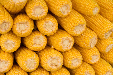 A lot of corn, Pattern.