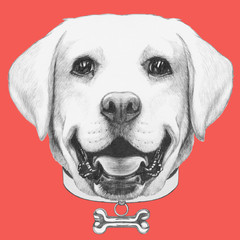 Portrait of Labrador with collar . Hand drawn illustration.