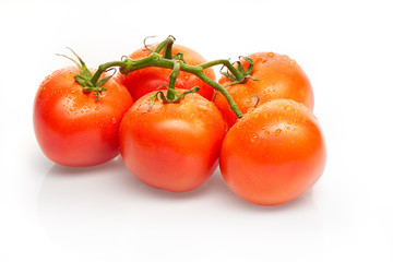 Branch of red tomatoes with drops of water isolated on white background. Bottom clipping path included