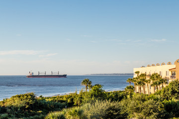 Freighter Near Tropical Condos