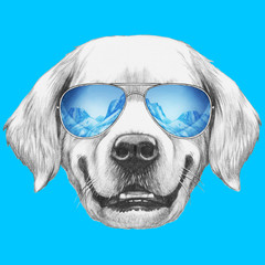 Portrait of Golden Retriever with mirror sunglasses. Hand drawn illustration.