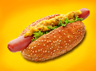 Hotdog on yellow background