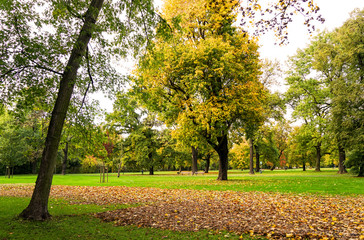 Fototapeta premium Herbst