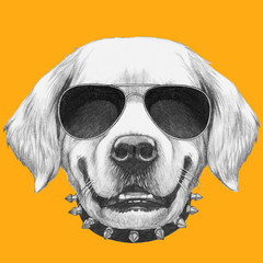 Portrait of Golden Retriever with glasses and bow tie. Hand drawn illustration.