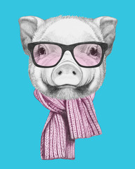 Portrait of Piggy with glasses and scarf. Hand drawn illustration.