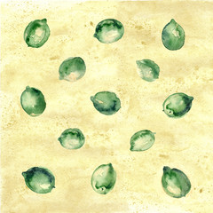 Fototapeta premium Vintage watercolor yellow background with limes