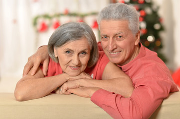 Amusing old couple at Christmas