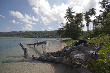 White sandy beach on Koh Man Nai, Trat, Thailand