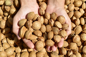 young man with almonds in shell in his hands