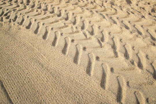 Tractor tire tracks on beach sand.