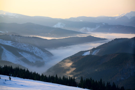 Fog, lit morning sun rises from mountain valleys in winter Carpathians. © Vitalfoto