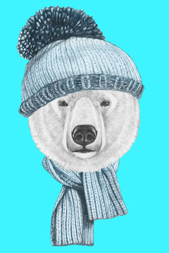Portrait of Polar Bear with hat and scarf. Hand drawn illustration.