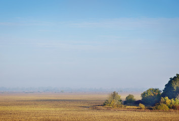 Agricultural field in autumn.