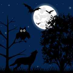 Night on  Halloween