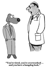 Business and medical cartoon of doctor saying to business dog, 'You're tired, you're overworked... and you have a hangdog look'.
