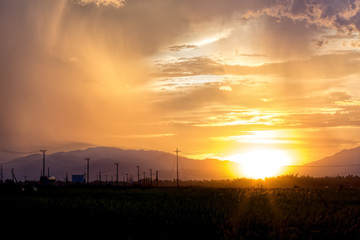 Clouded sky orange sunset with green field