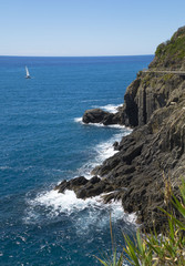 Cinque Terre National Park ,  Riomaggiore area, Ligurian coast in the province La Spezia