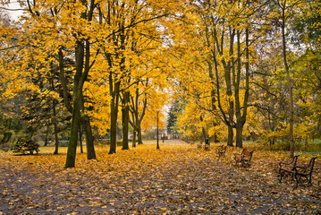 Jesień w parku