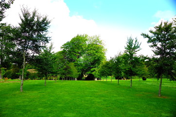 Der "Six Sisters Walk", eine neu angelegte Allee im Park von Highclere Castle, dem Schauplatz der TV-Serie "Downton Abbey".
