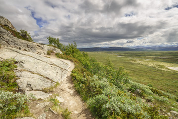 Fototapeta na wymiar View across Dovrefjell National Park in Norway