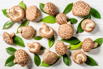 fresh chinese black mushroom, top view