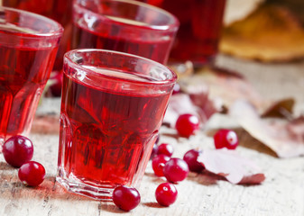 Autumn cranberry cocktail on the old wooden background, selectiv