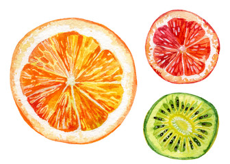 Watercolor set of fresh orange, kiwi and grapefruit
