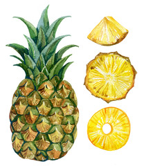 watercolor pineapple set