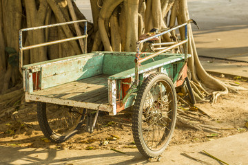 Fototapeta na wymiar The tree root and old tricycle
