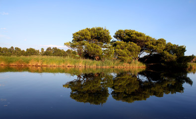 Reflexion