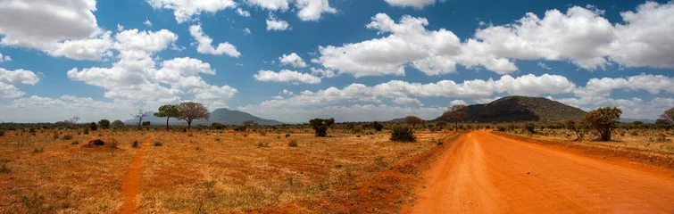 Tuinposter Landschap van Tsavo East, Kenia © forcdan