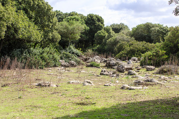 Sardini&euml;, hoogvlakte Giara di Gesturi bij Tuili