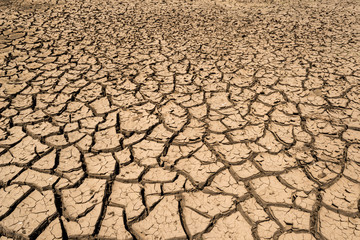  Drought land