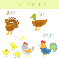 Set of vector farm birds with names