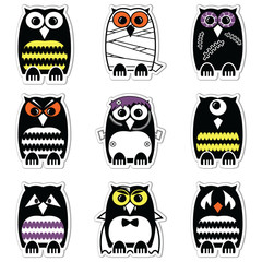 Halloween scary, spooky, mummy, cyclops, vampire. Monster, zombie owls in color in label style
