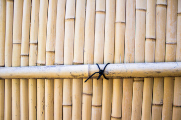 Background of a bamboo fence