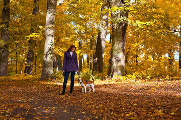 Fototapeta premium walk in the Park