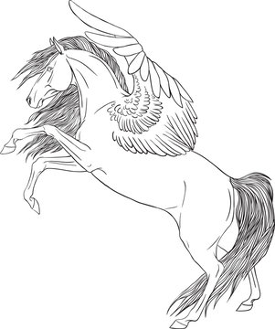 Coloring book with a pegasus