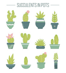 Set of succulent plants and cactuses in pots..Linear botanical vector elements