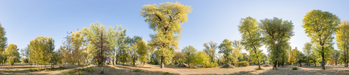 360 degree Park Panorama