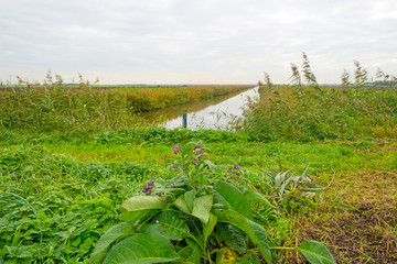 Fototapeta na wymiar Canal through a rural landscape in autumn