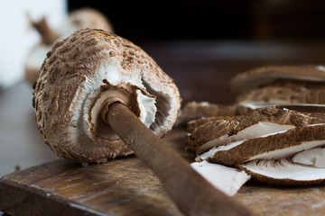 Fresh brown mushrooms ( Macrolepiota procera )
