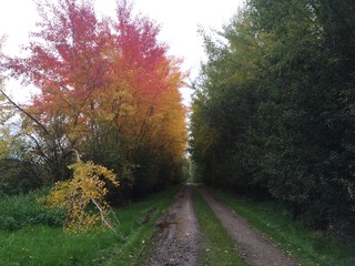 Herbst